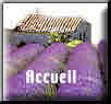 Accueil