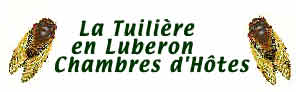 Logo Tuiliere